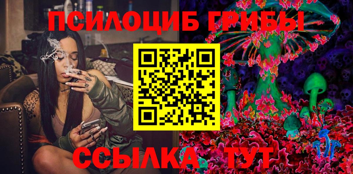 Псилоцибиновые грибы MAGIC MUSHROOMS  Вход с VPN  Выборг 